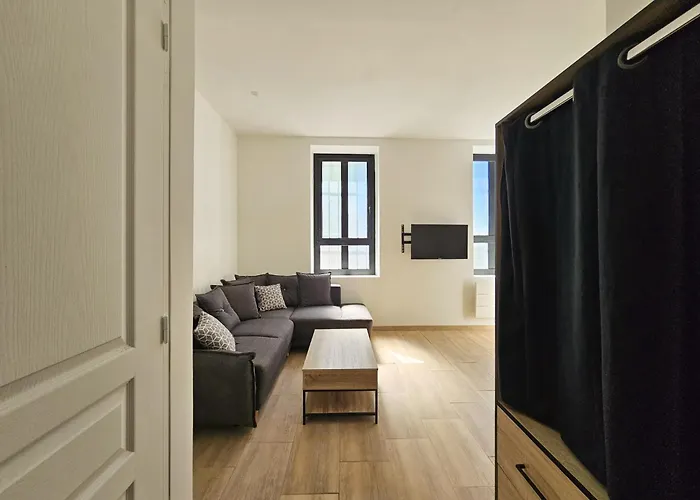 Joli Rénové En Centre-ville Proche Tramway Appartement